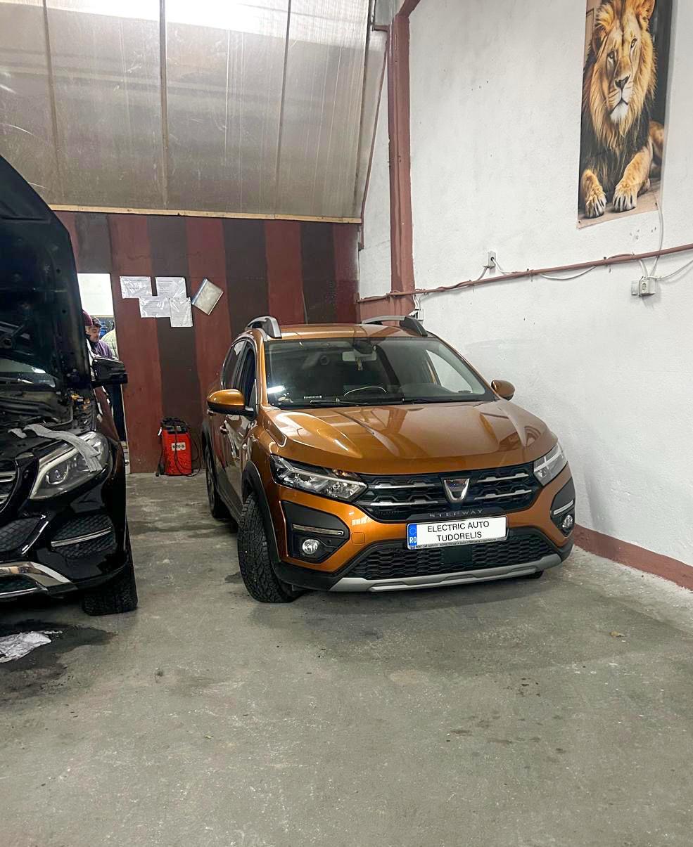 Diagnoza Dacia Bucuresti